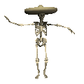 skeleton+hat.gif