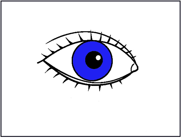 IMAGE(http://www.carmenlu.com/first/vocabulary/health1/body1_1/eye.jpg)