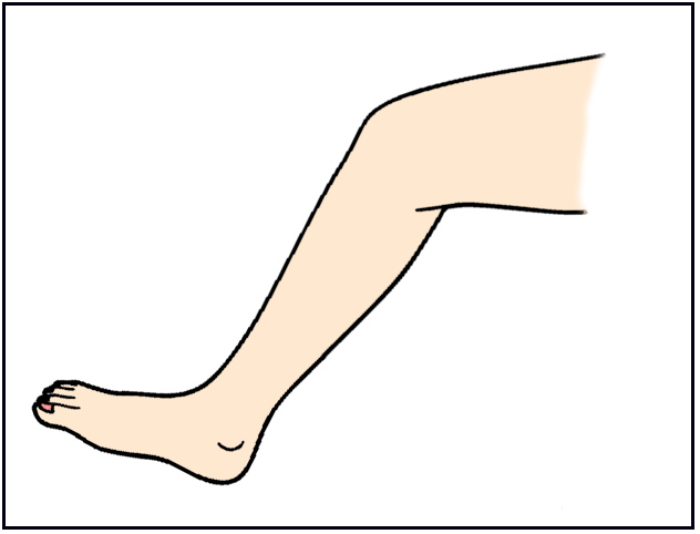 clipart leg - photo #12