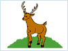 deer.gif