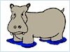 hippo.gif