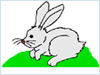 rabbit.gif