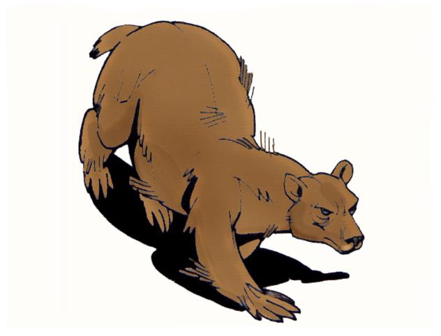 bear1.jpg