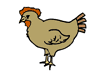 chicken.gif