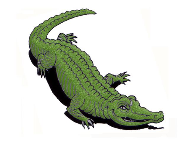 crocodile1.jpg