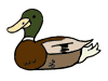 duck2.gif