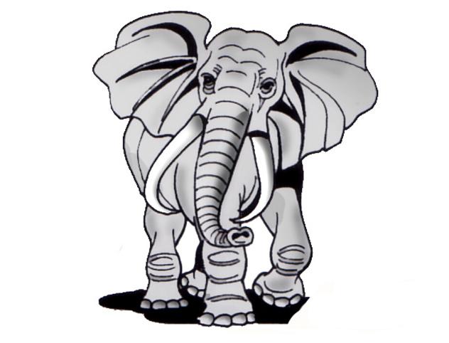 elephant1.jpg