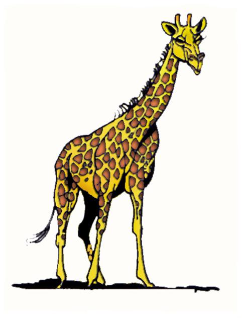 giraffe1.jpg