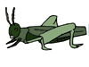 grasshopper.gif