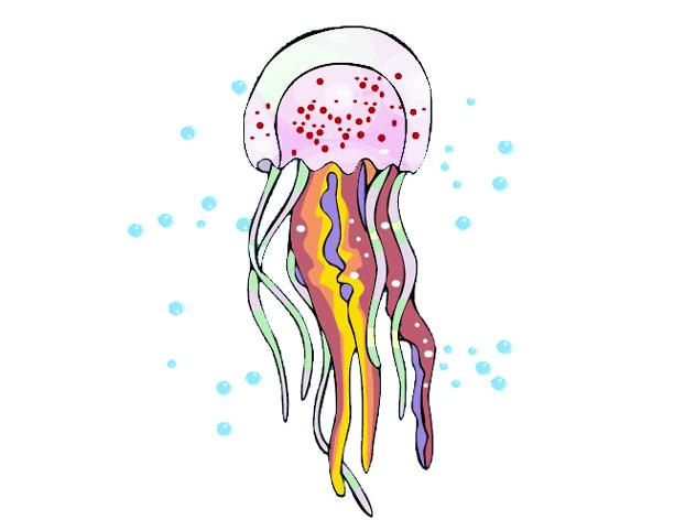 jellyfish.jpg