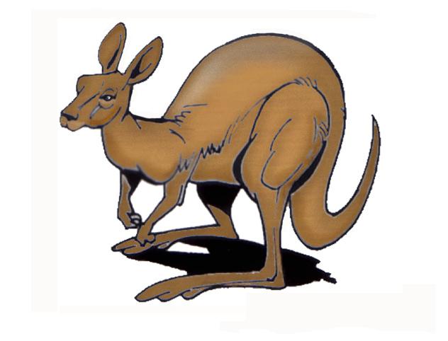 kangaroo1.jpg