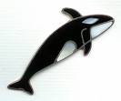 killer-whale.jpg
