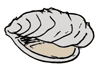 oyster.gif