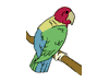 parrot.gif