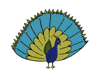 peacock.gif