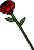 rose-vt.gif