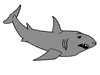 shark.gif