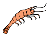 shrimp2.gif