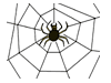 spider.gif