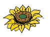 sunflower.gif