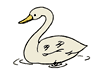 swan.gif