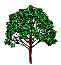 tree2.gif