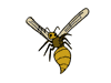 wasp.gif