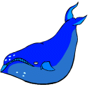 whale.gif