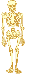 skeleton.gif